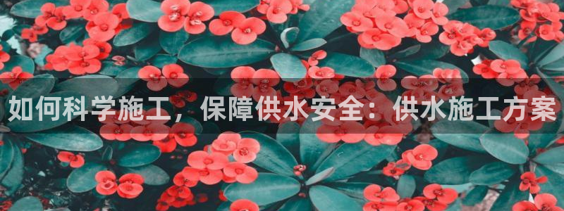 球友会提款审核