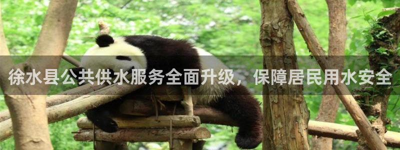 球友会FIFA22比赛是否能随机超控