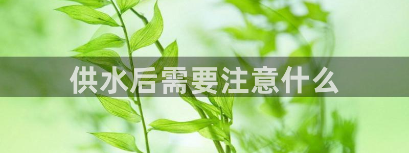 球友会体育app下载安卓手机