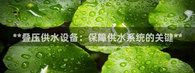 球友会体育app下载安卓版