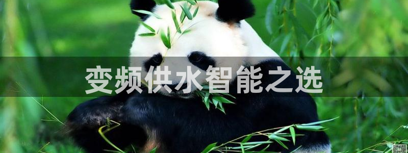 qy球友会体育官网下载