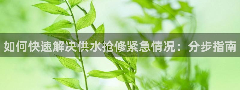 球友会体育app下载安卓版