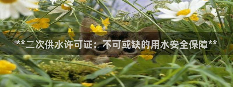 球友会官网下载