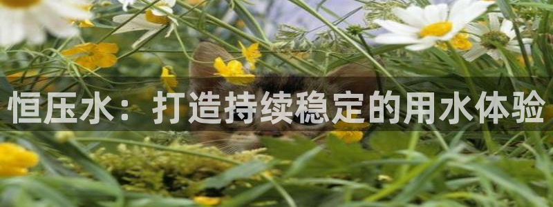 球友会app官网下载