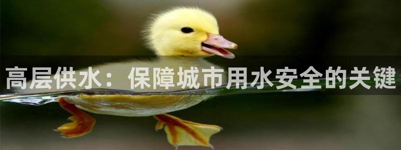 qy球友会体育官方平台