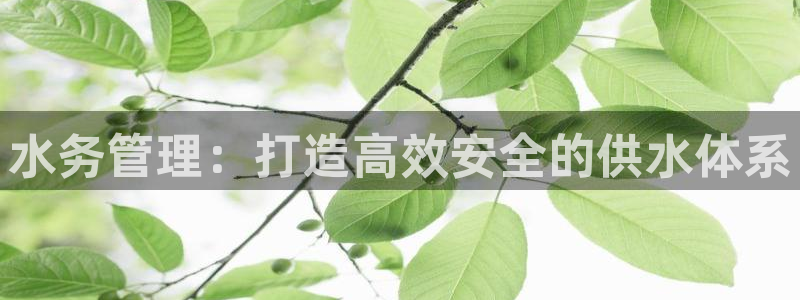 球友会app干啥的软件