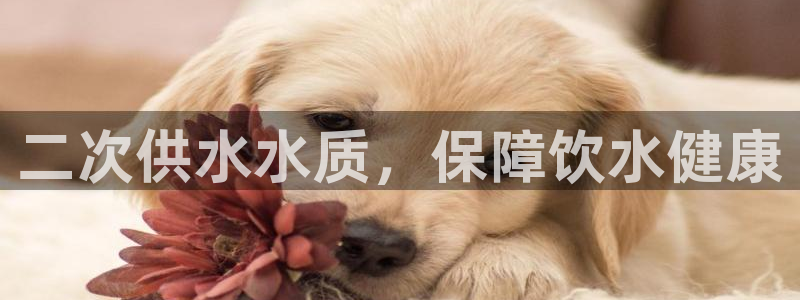 球友会体育app下载官网苹果