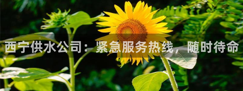 球友会app官网下载苹果