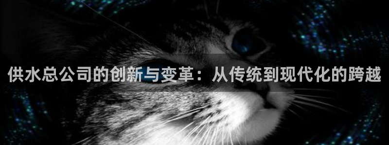 球友会提现不到账