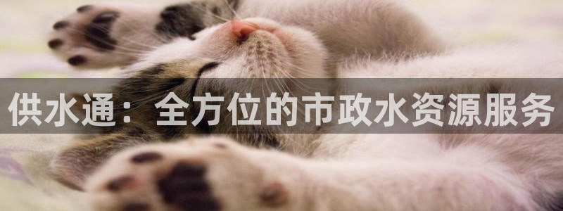 球友会提款不到账