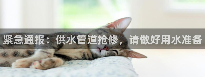 球友会登录球友会官网