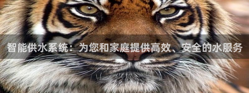 球友会体育app下载安卓