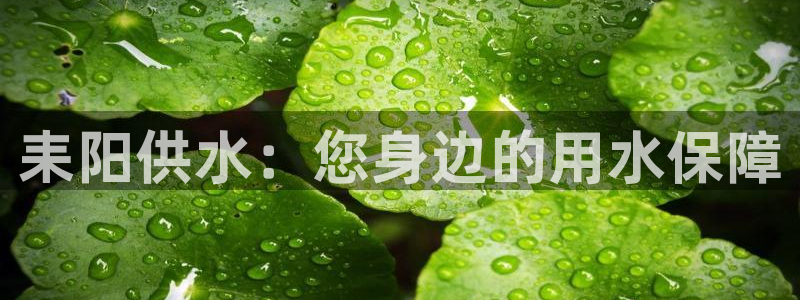 球友会链接