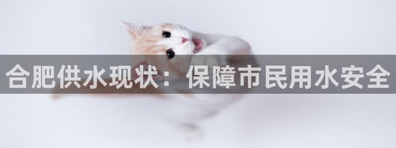 球友会下载安装