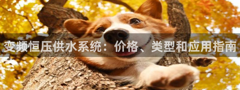 QY球友会