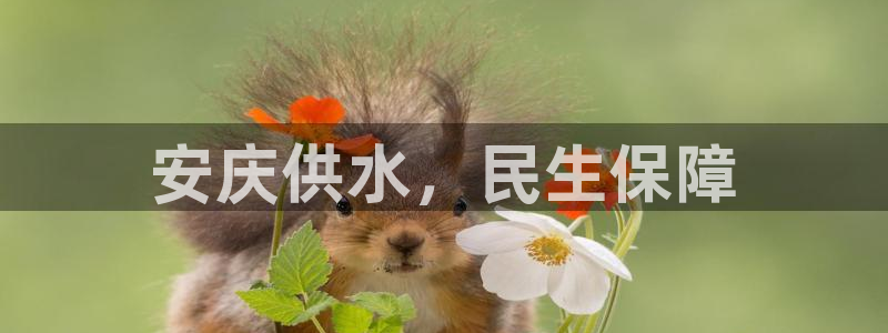 球友会体育app下载安卓最新版