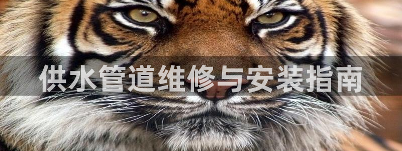 球友会软件