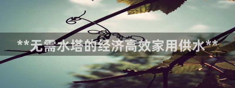 QY球友会体育官方平台
