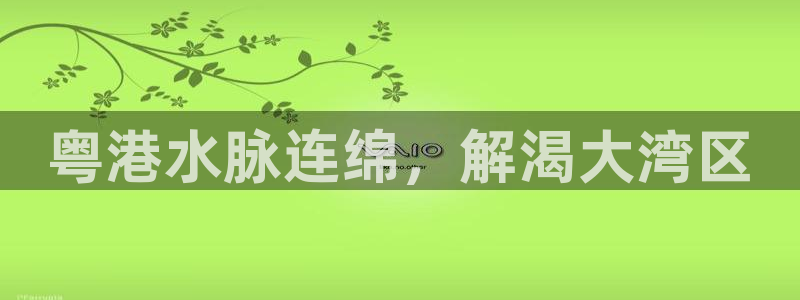 QY球友会