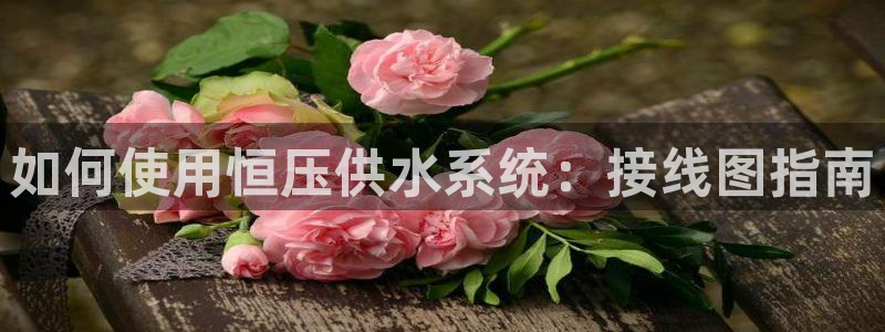 球友会app官方网站