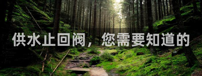 球友会台球俱乐部在哪