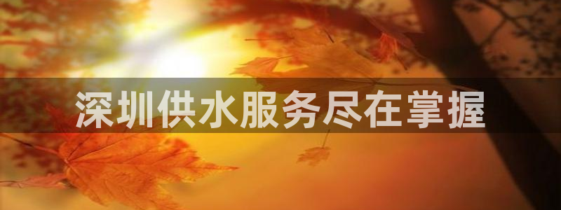 球友会不出款
