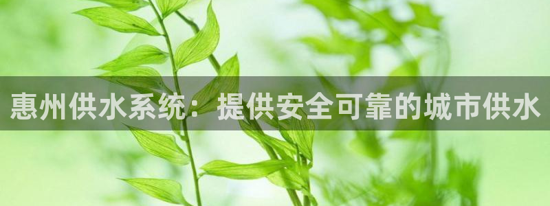 球友会官网入口网址