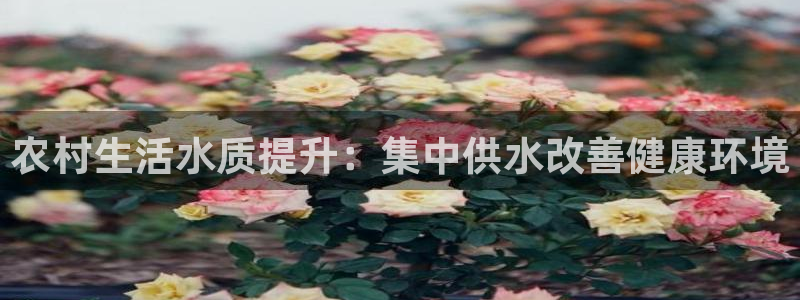 球友会app官方网站入口