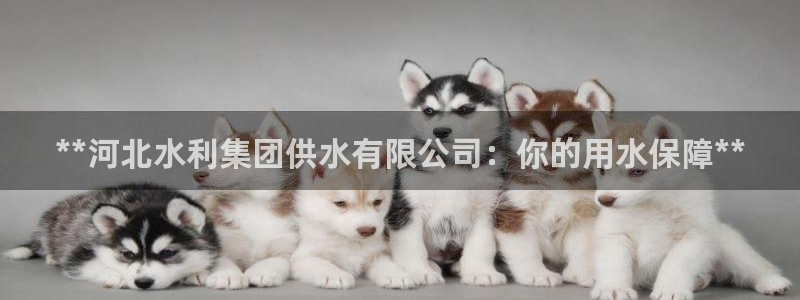 球友会体育app官方版下载安装
