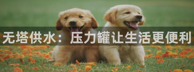 球友会比尔森胜利塔波斯科