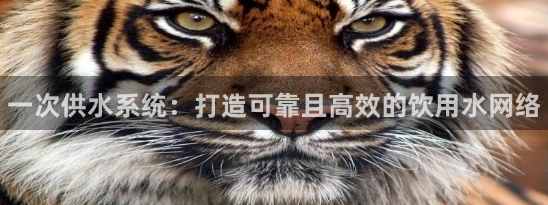 球友会app官方网站入口