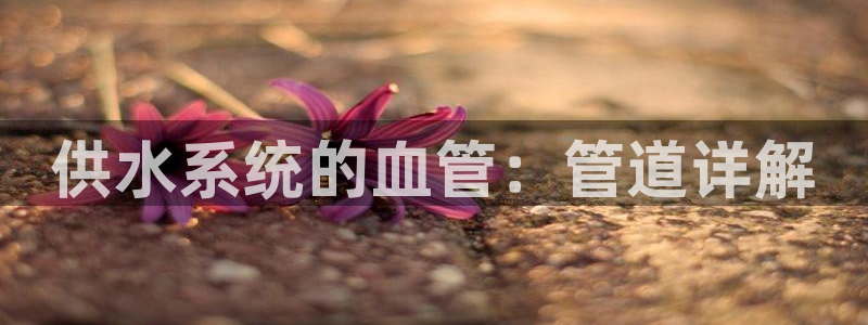 球友会app官方网站