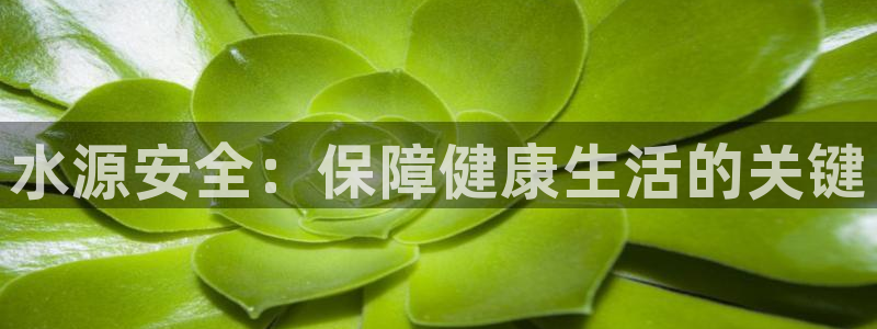 球友会台球俱乐部在哪