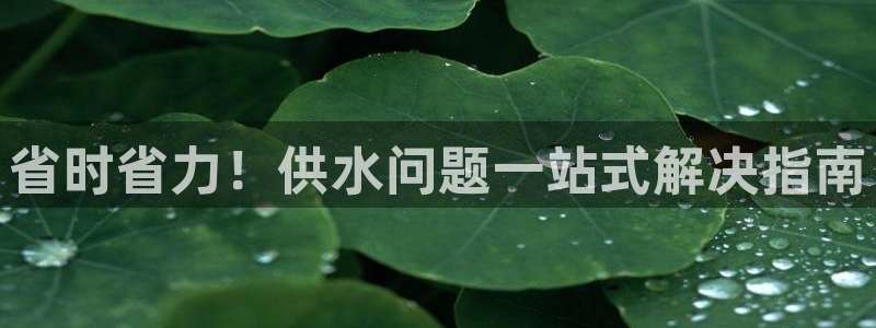 球友会提款审核