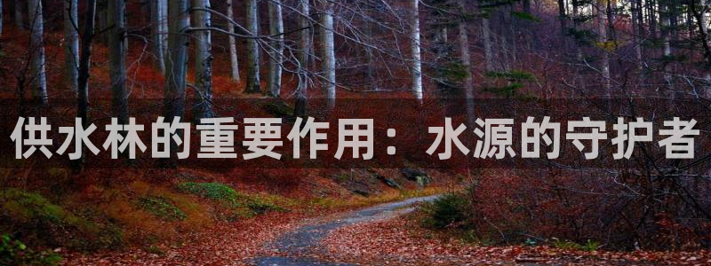 球友会聚餐发言