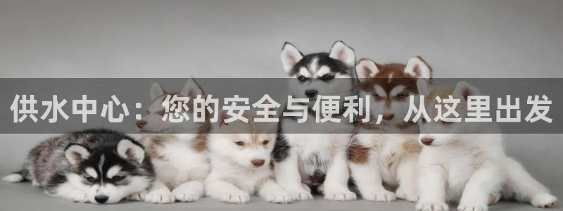 球友会审核
