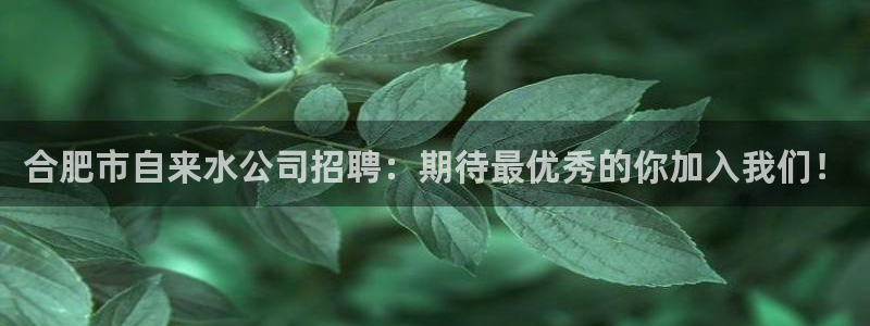球友会app安全吗可靠吗