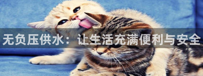 球友会app安全吗可靠吗