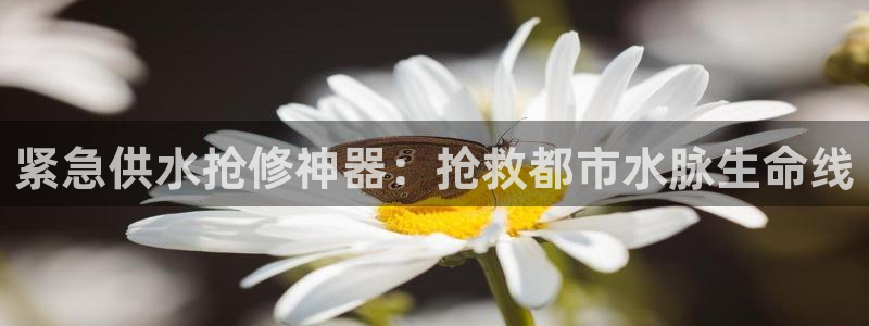 球友会官网入口网址